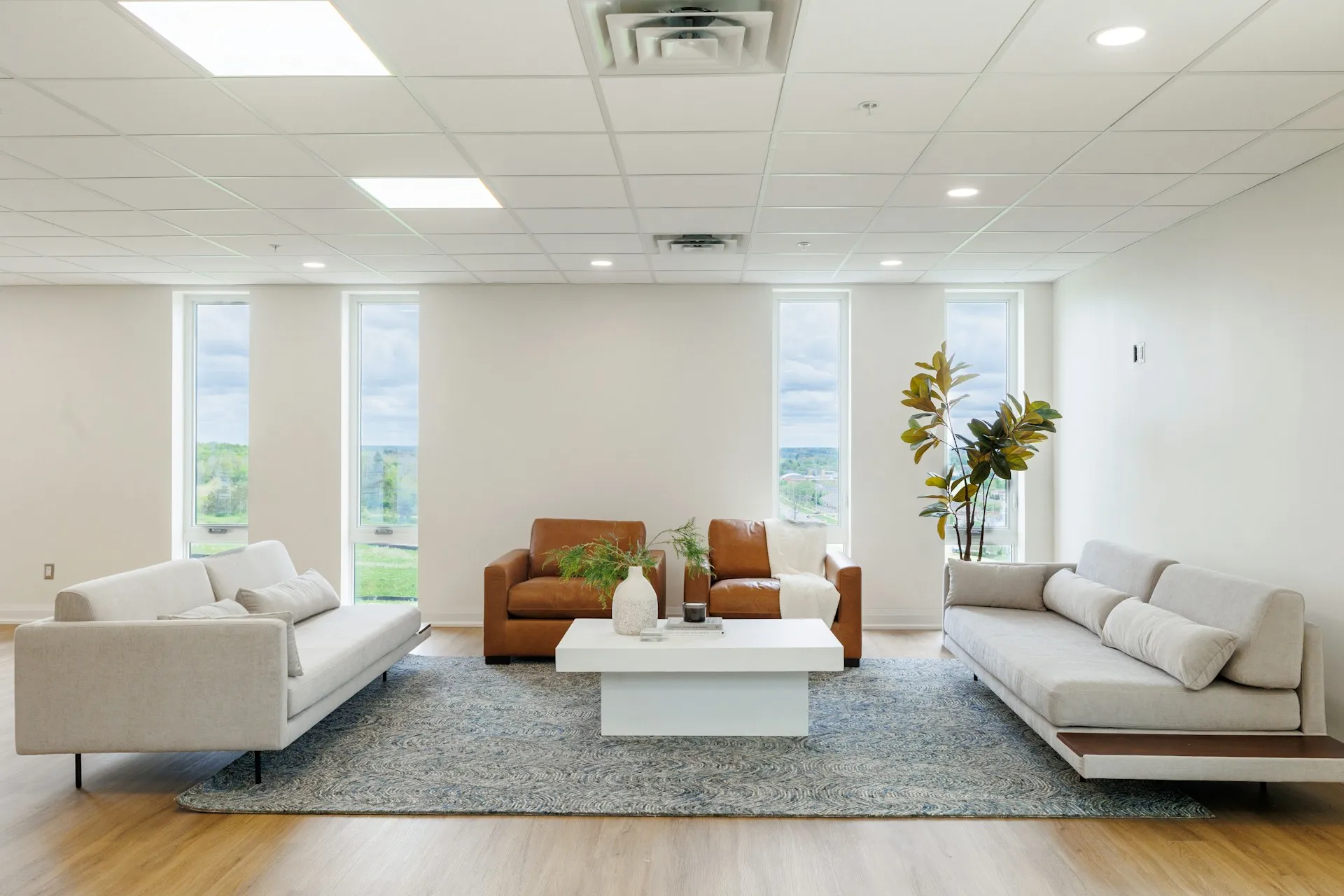 Living room with two sofas, a table, big windows, and a plant.
