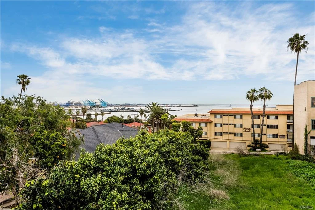 A city by the ocean with palm trees and lots of buildings.
