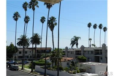 Palm trees and buildings
