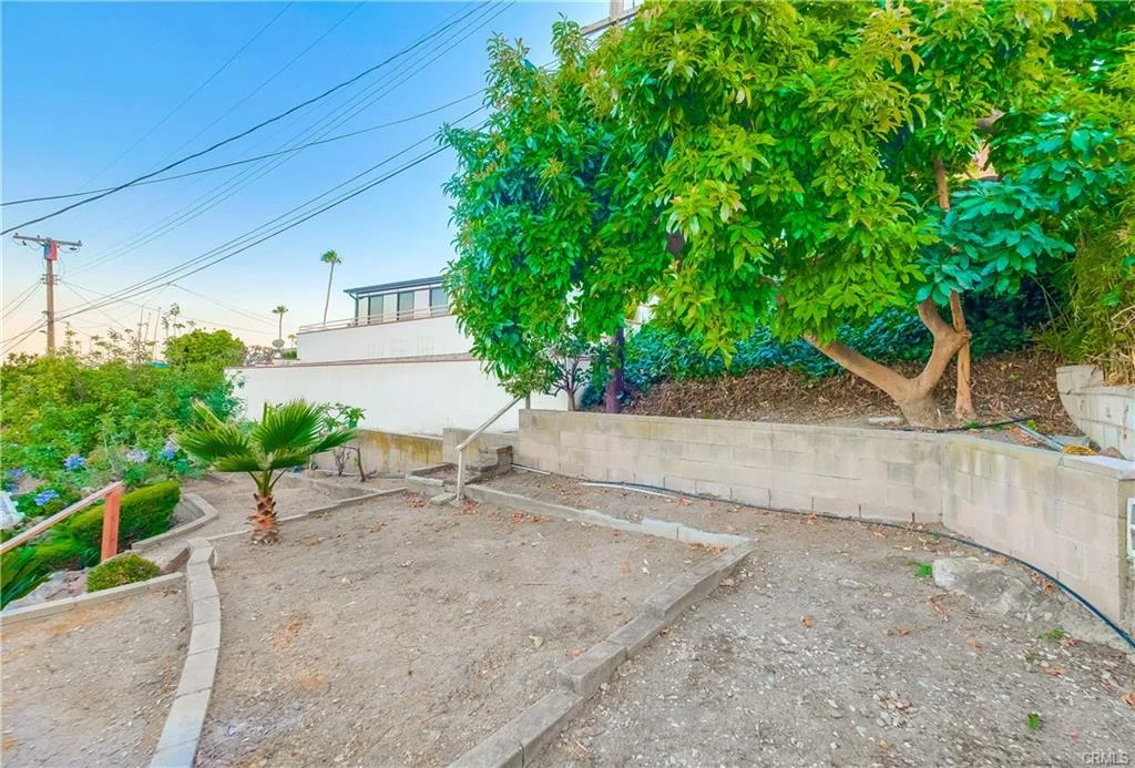 Garden area with concrete wall, trees, and plants