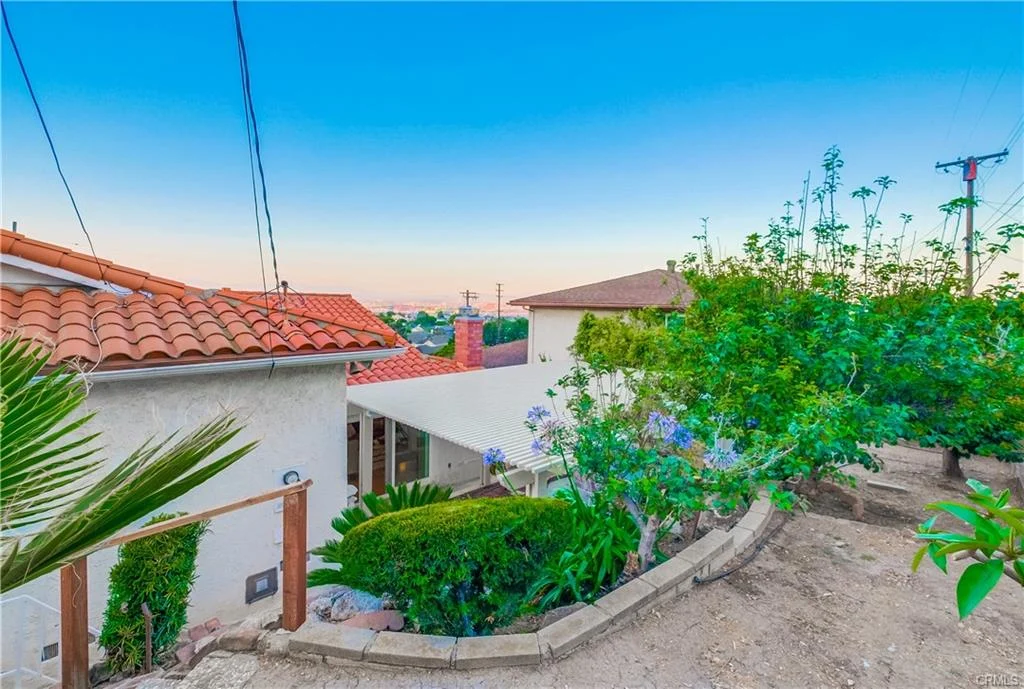 Hillside garden with plants, pathway, and rooftops