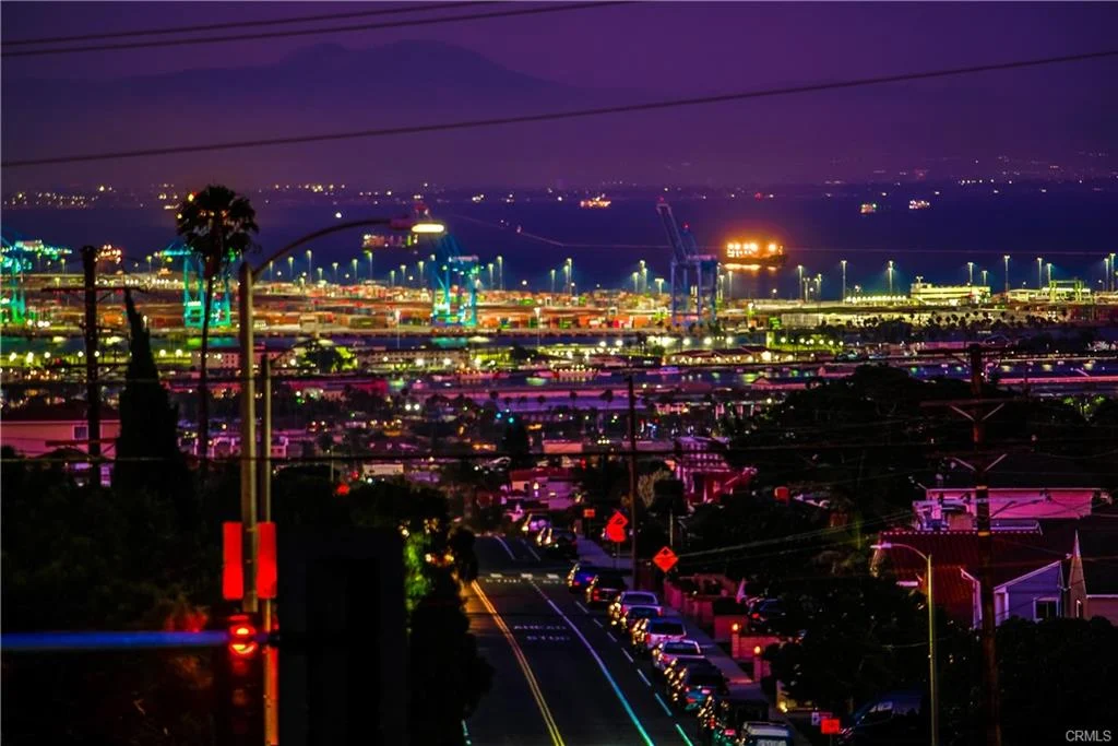 Cityscape with buildings, lights, streets, and palm trees