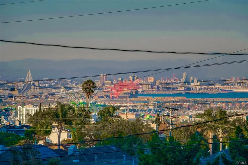 City skyline with buildings, palm trees, and power lines