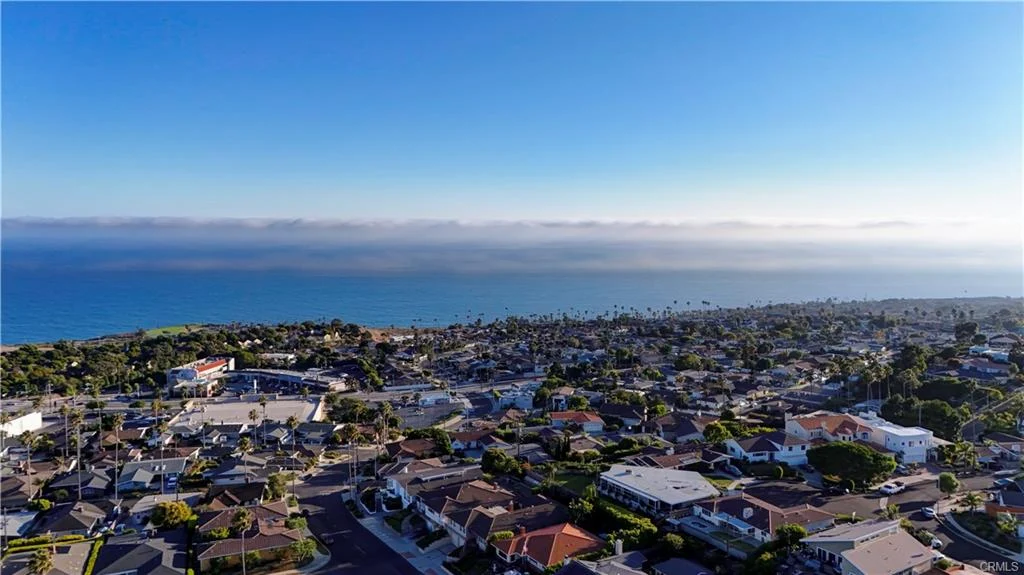 Aerial view of coastal neighborhood with houses, palm trees, and ocean in California real estate
