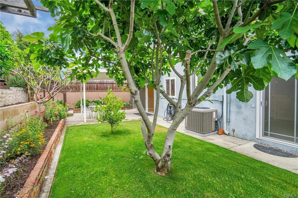backyard, green lawn, tree, garden plants, air conditioning unit, and bike.