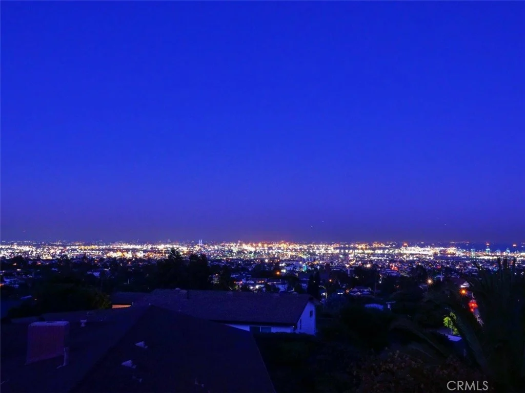 City skyline with many lights and tall buildings at night