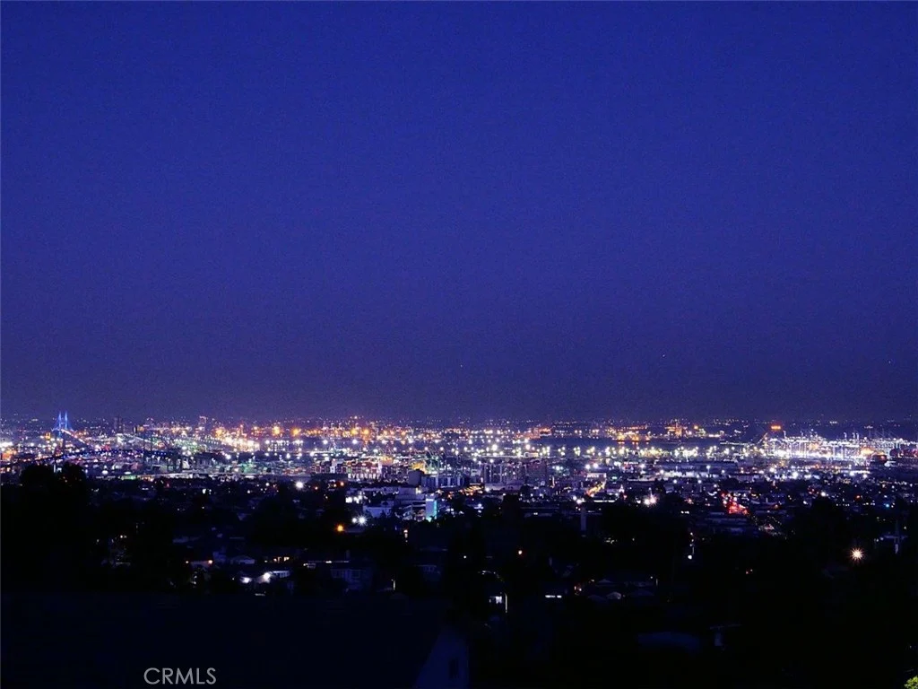 City skyline with tall buildings and many lights at night
