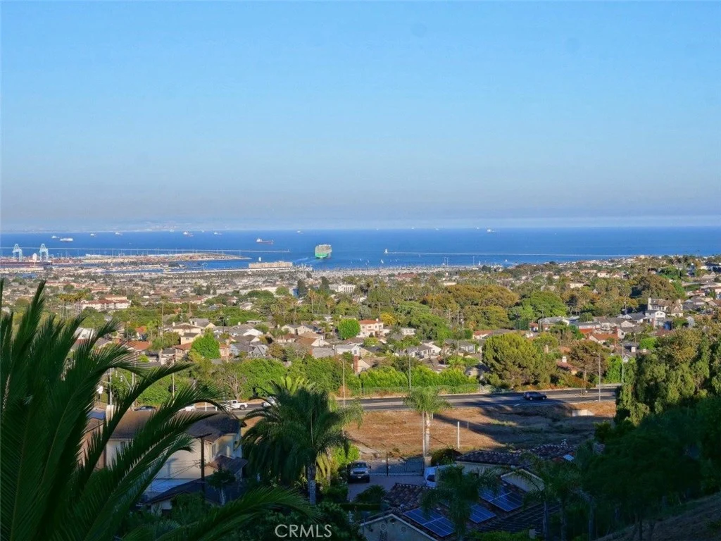 Coastal area with ocean, palm trees, ships on water, and homes below