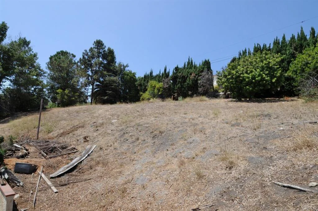Sloped land with dry grass, trees, plants, and debris