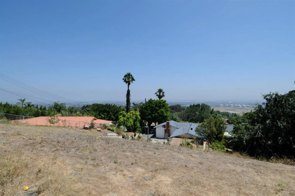 View of houses in California real estate with roofs, palm trees, and dry grass