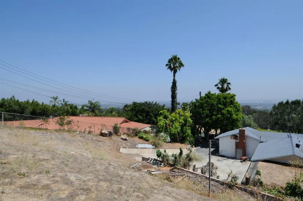 View of houses in California real estate with roofs, palm tree, and dry grass