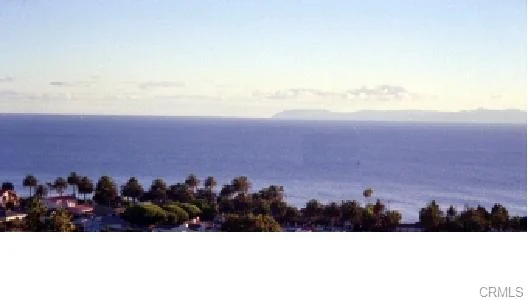 Ocean view with islands, palm trees, and coastal plants