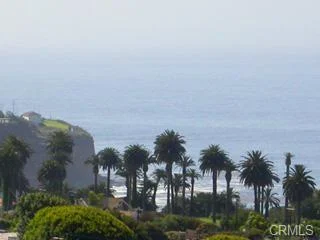 Coastal view with palm trees, cliffs, and ocean
