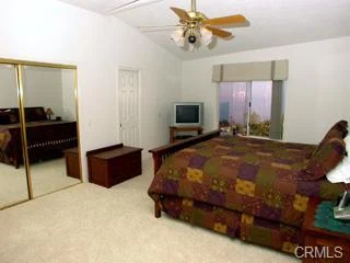 Bedroom with bed, ceiling fan, TV, closet doors, window, and furniture