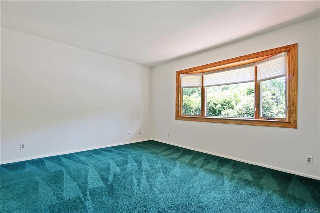 Room with green carpet, white walls, and large window.