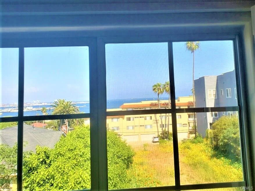 View from window with ocean, palm trees, and buildings