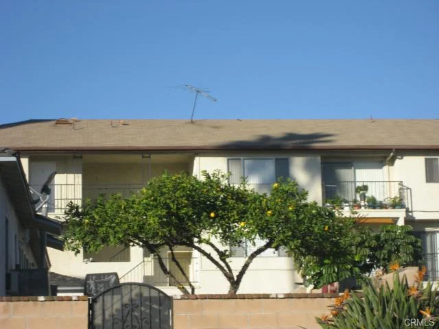 Building with flat roof, balconies, and tree with oranges